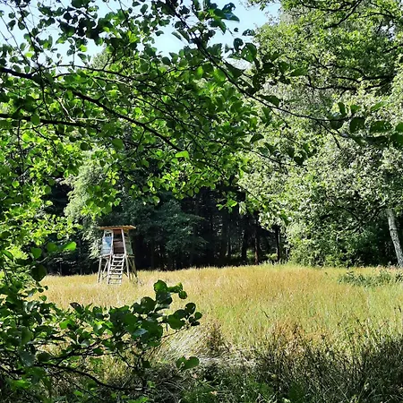 בית נופש Forest Retreat In East Frisia Friedeburg (Lower Saxony)