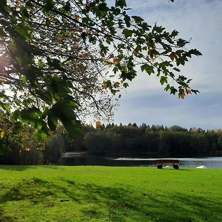 Forest Retreat In East Frisia *