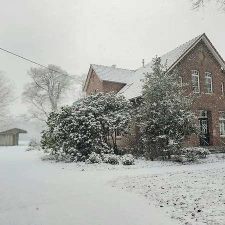 Forest Retreat In East Frisia *