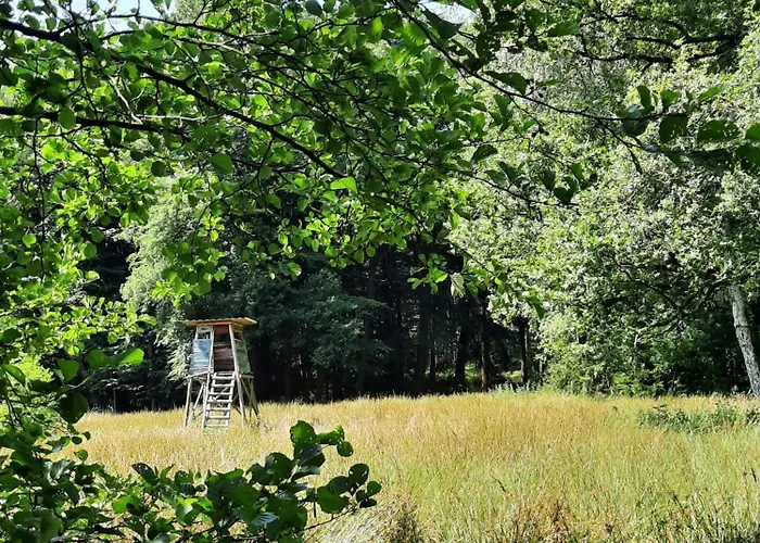 Prázdninový dům Forest Retreat In East Frisia Friedeburg (Lower Saxony)