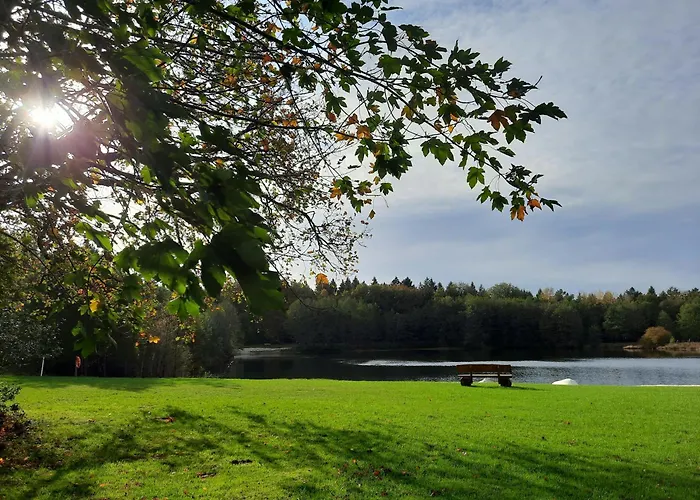 Forest Retreat In East Frisia *