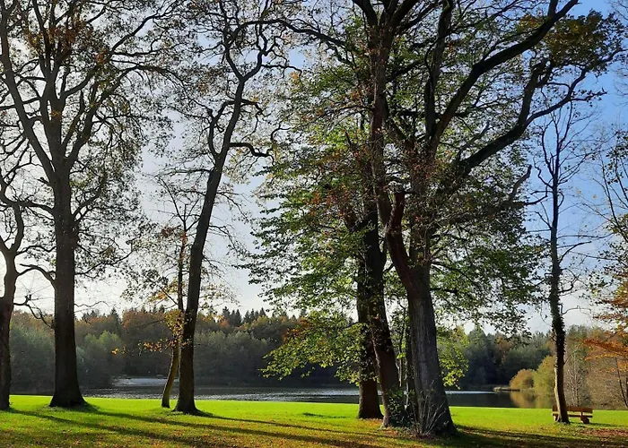Prázdninový dům Forest Retreat In East Frisia